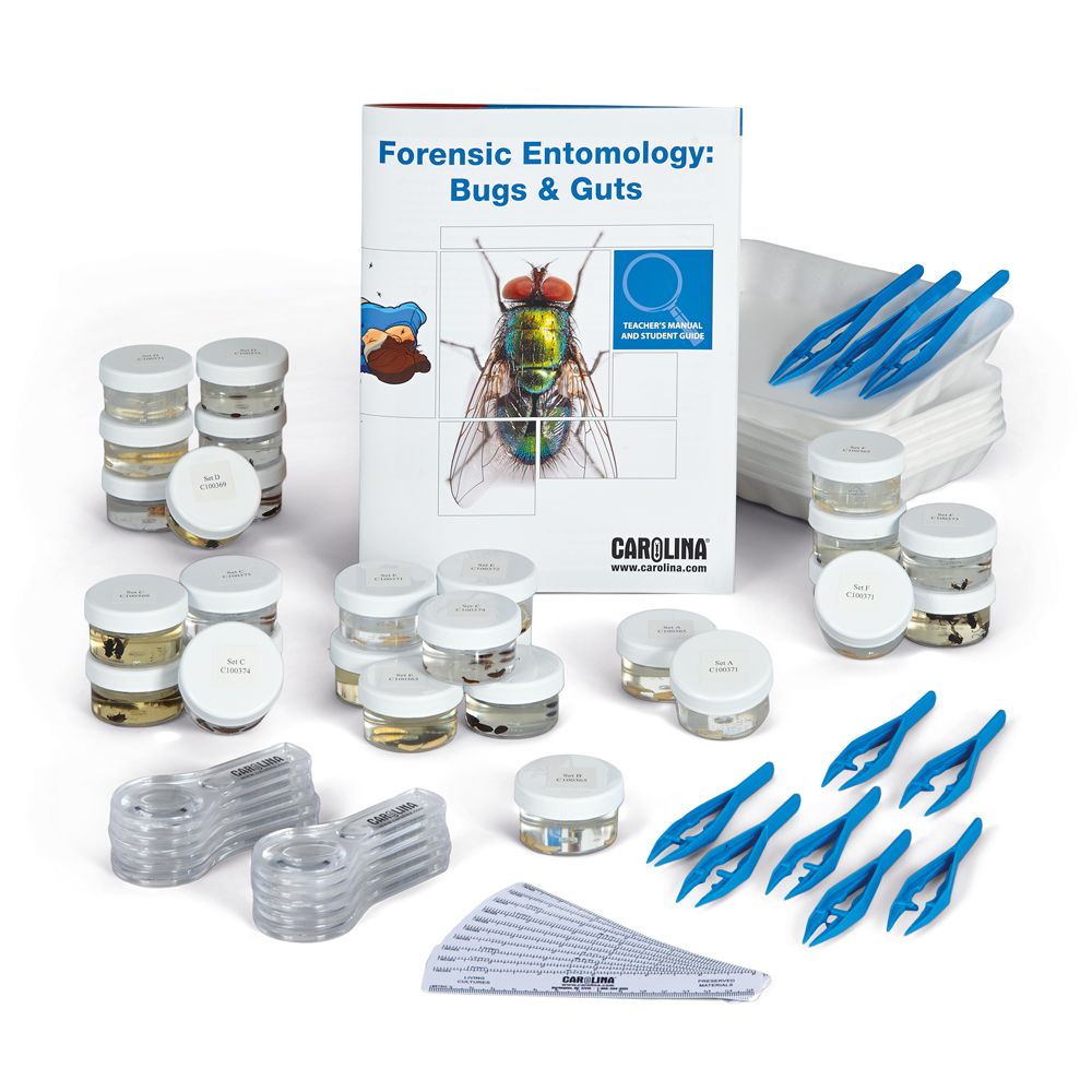 forensic entomology kit