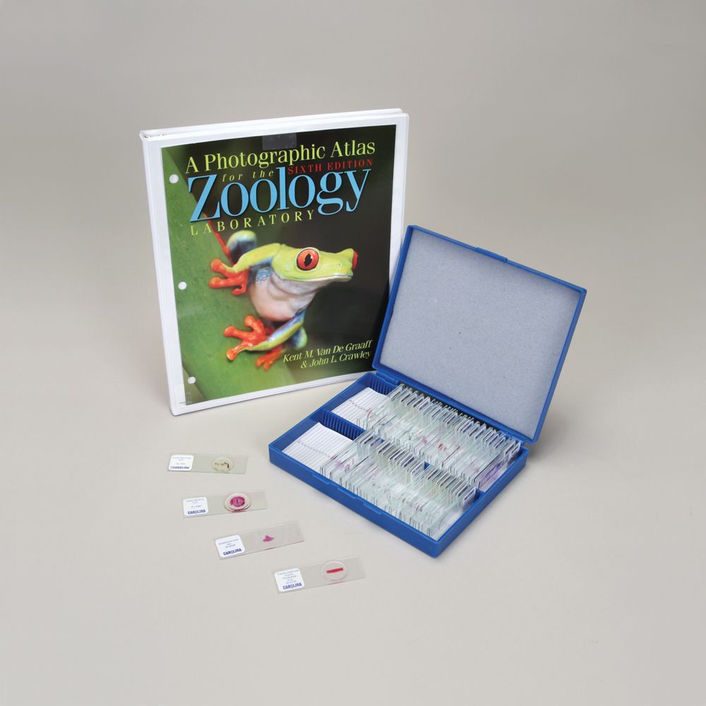 Zoology Atlas Microscope Slide Set Carolina Biological Supply