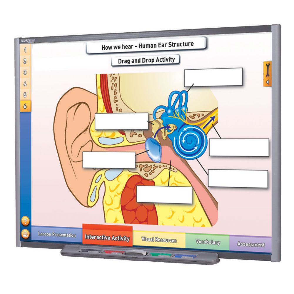 Physical Science Multimedia Lessons for Interactive Whiteboards Sound Carolina Biological Supply