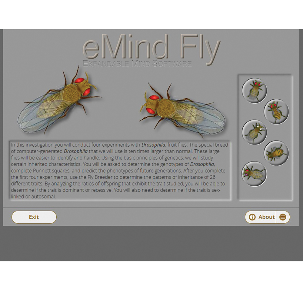 eMind Fly Virtual Lab
