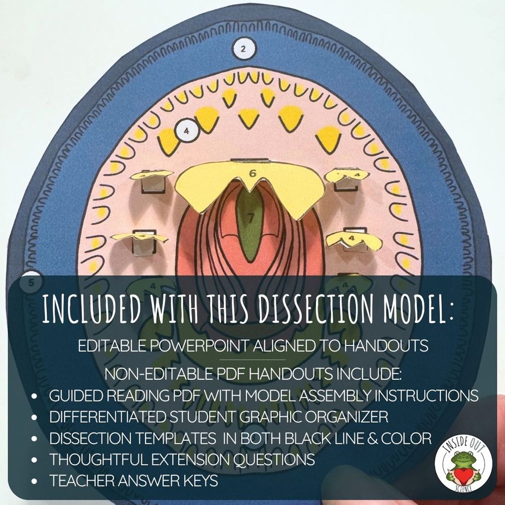 Scienstructable 3D Dissection Model®: Lamprey Paper Dissection ...
