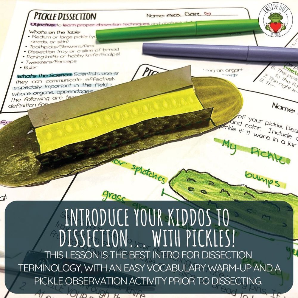 Scienstructable 3D Dissection Model®: Pickle Dissection & Anatomical ...