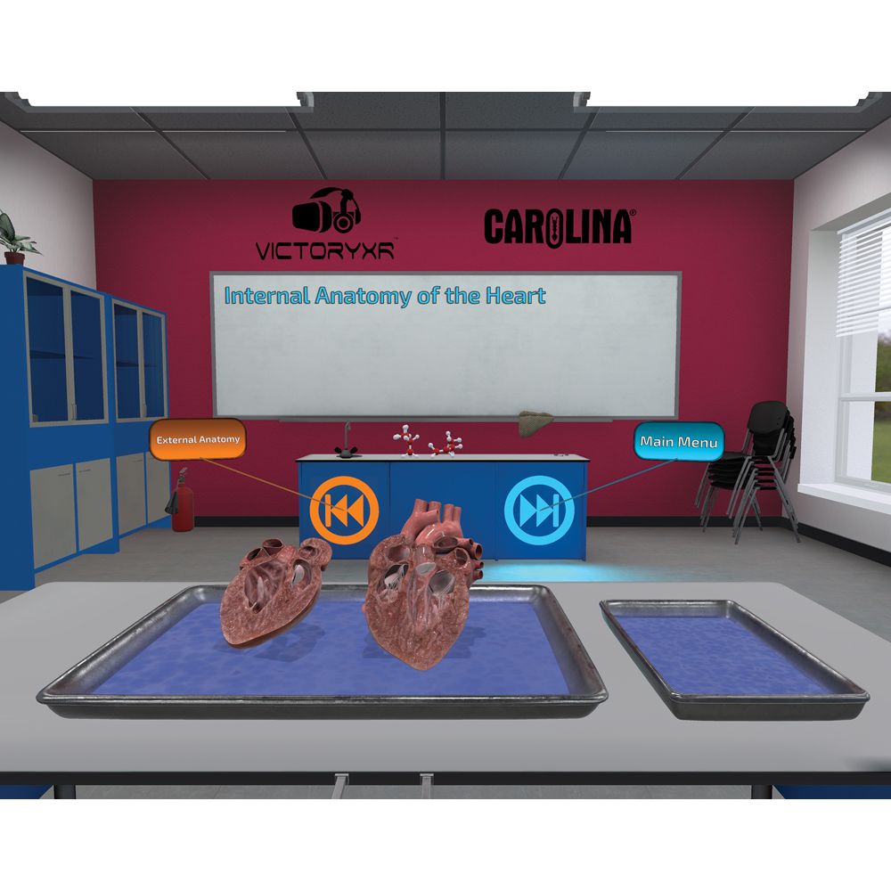 Digital Dissection Mammalian Organs, Individual License Carolina