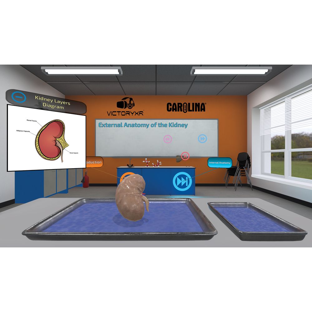 Digital Dissection Mammalian Organs, Individual License Carolina