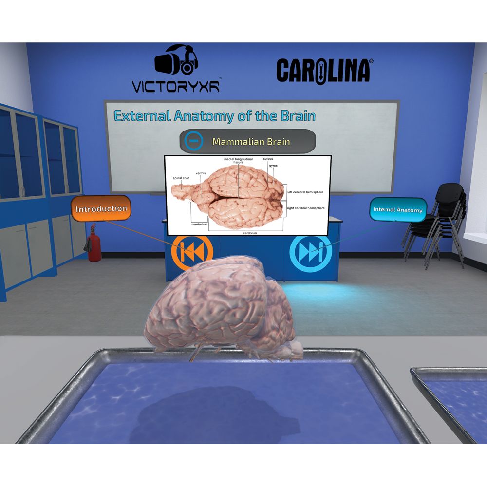 Digital Dissection Mammalian Organs, Individual License Carolina