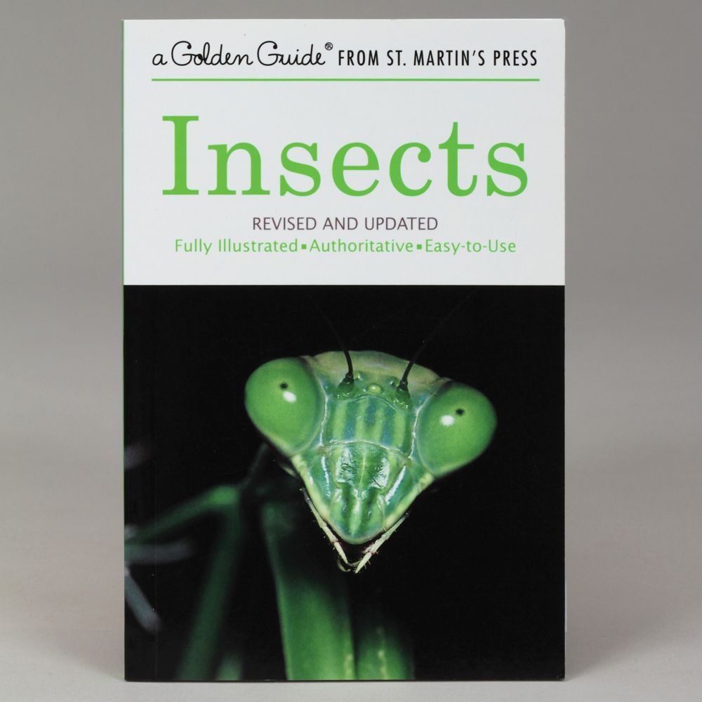 Insects, Golden Guide Book