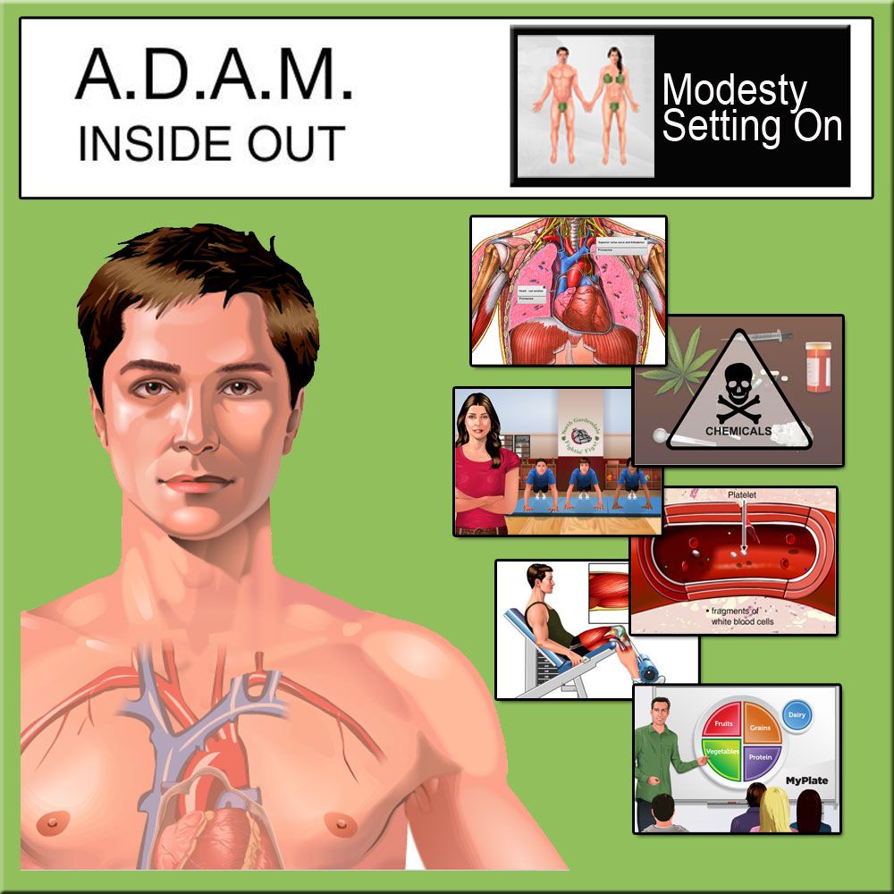 A D A M Inside Out Individual Instructor S License Carolina Com a d a m inside out individual