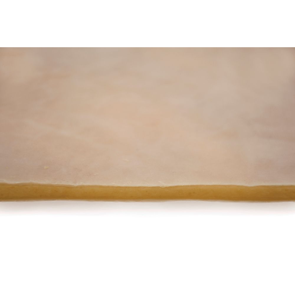 Basic Suturing Kit with Synthetic Human Tissue Carolina Biological Supply