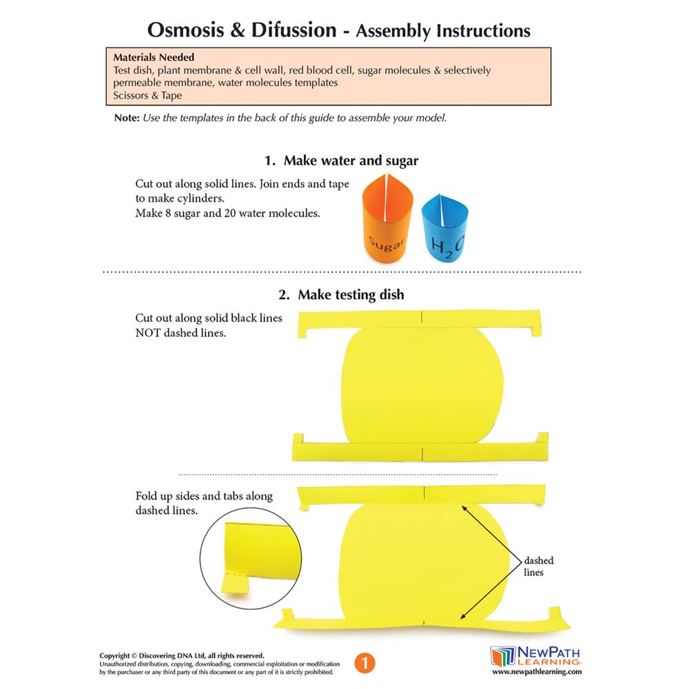 Origami Organelles™ 3D Paper Model Kit Osmosis and Diffusion