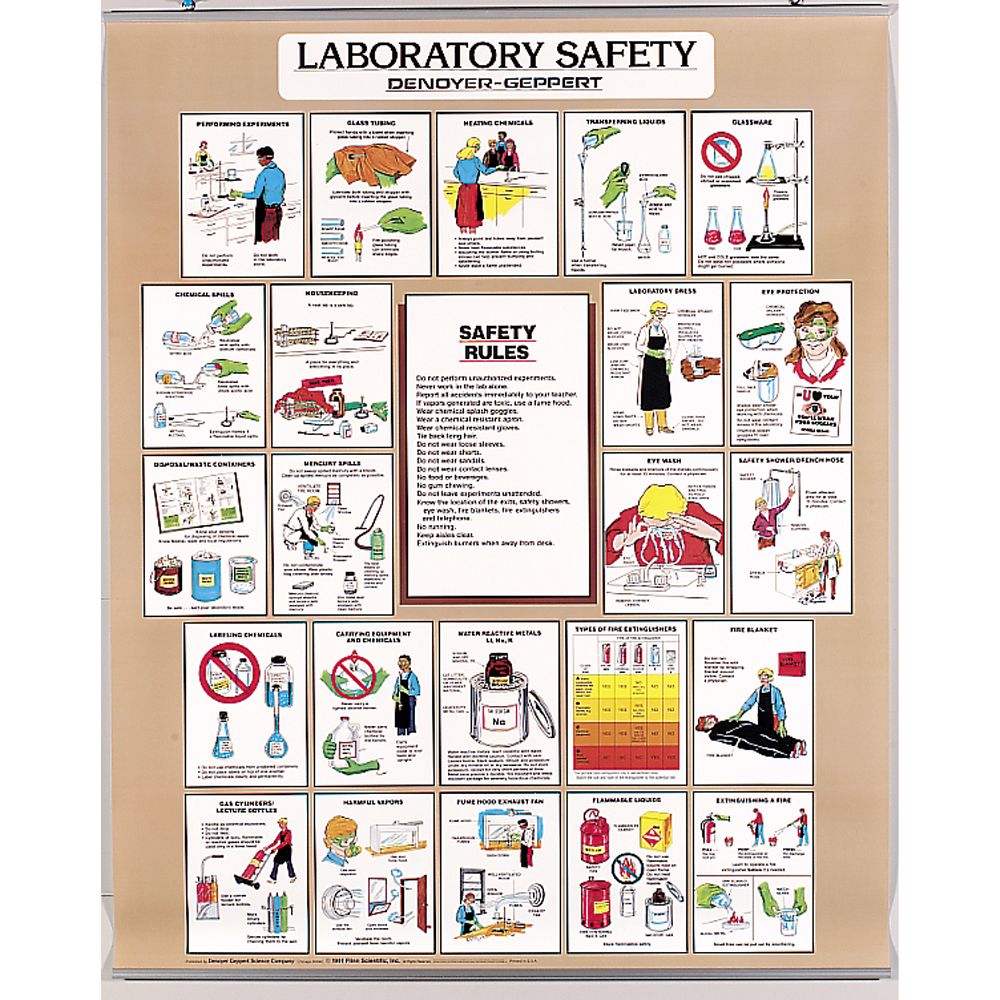 Laboratory Charts Lab Safety Pk Education Supplies Fisher Scientific ...