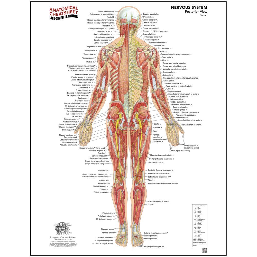 life sized learning cheatsheets