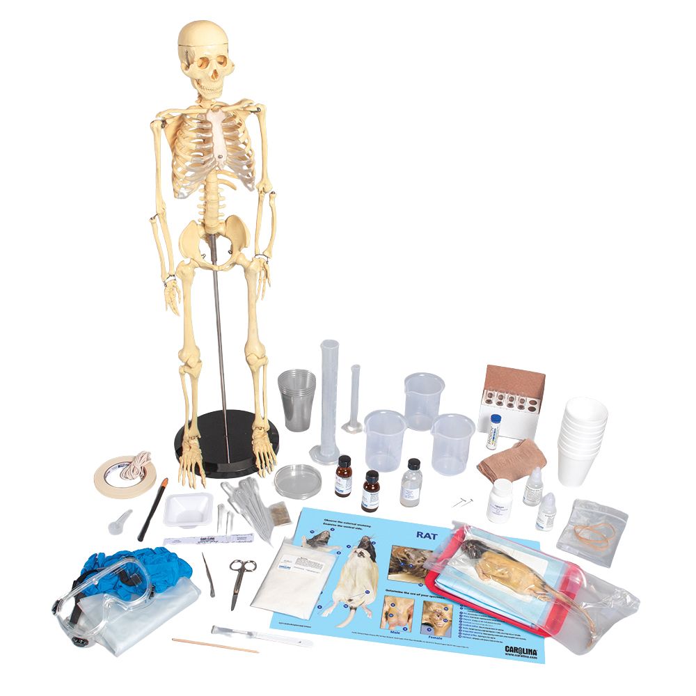 Distance Learning College Kits | Carolina Biological Supply
