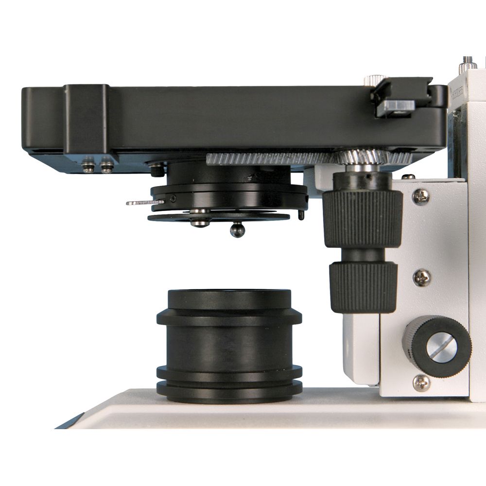 Wolfe® CFL Educational Microscope with Mechanical Stage Carolina