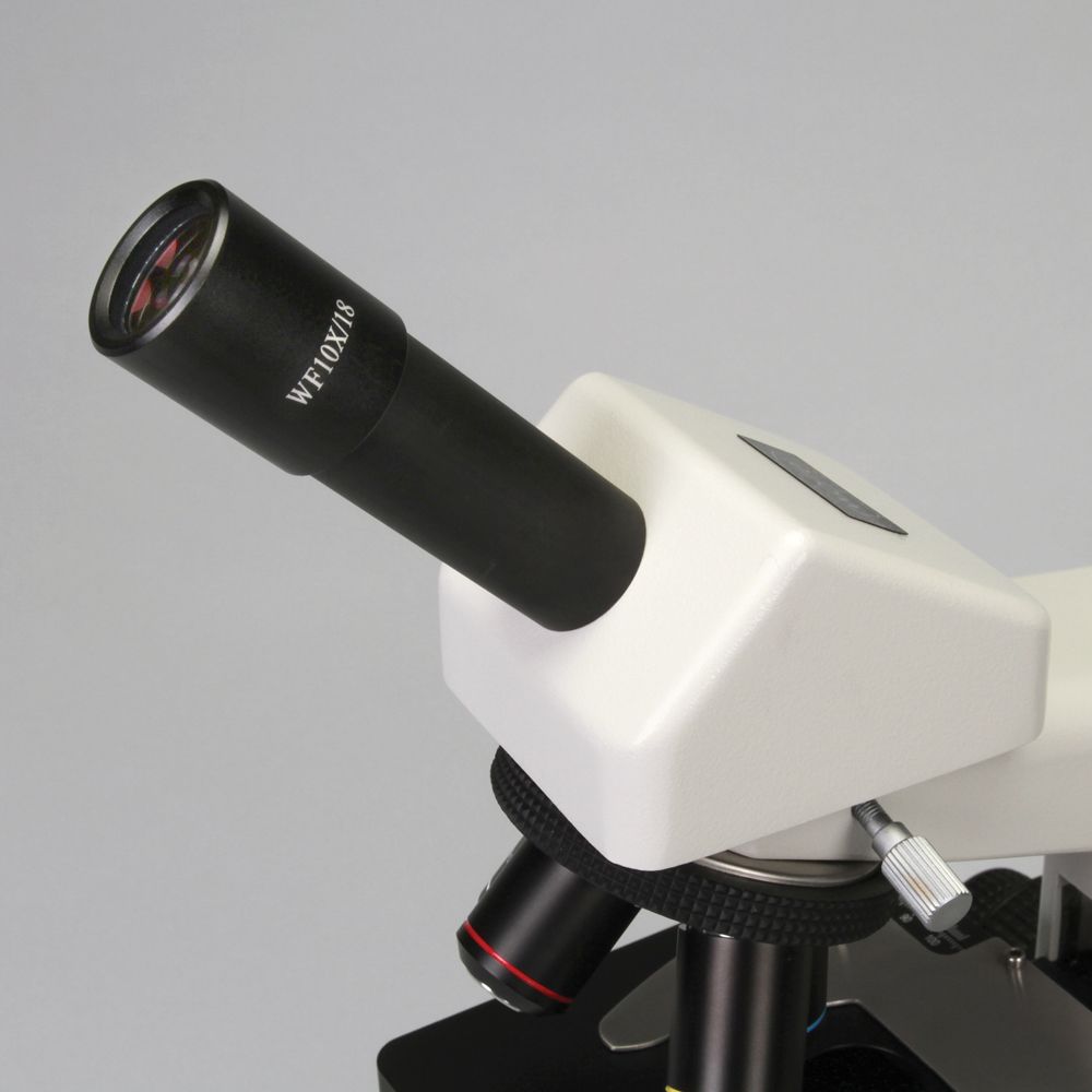 Wolfe® Beta Elite Monocular Microscope Carolina Biological Supply