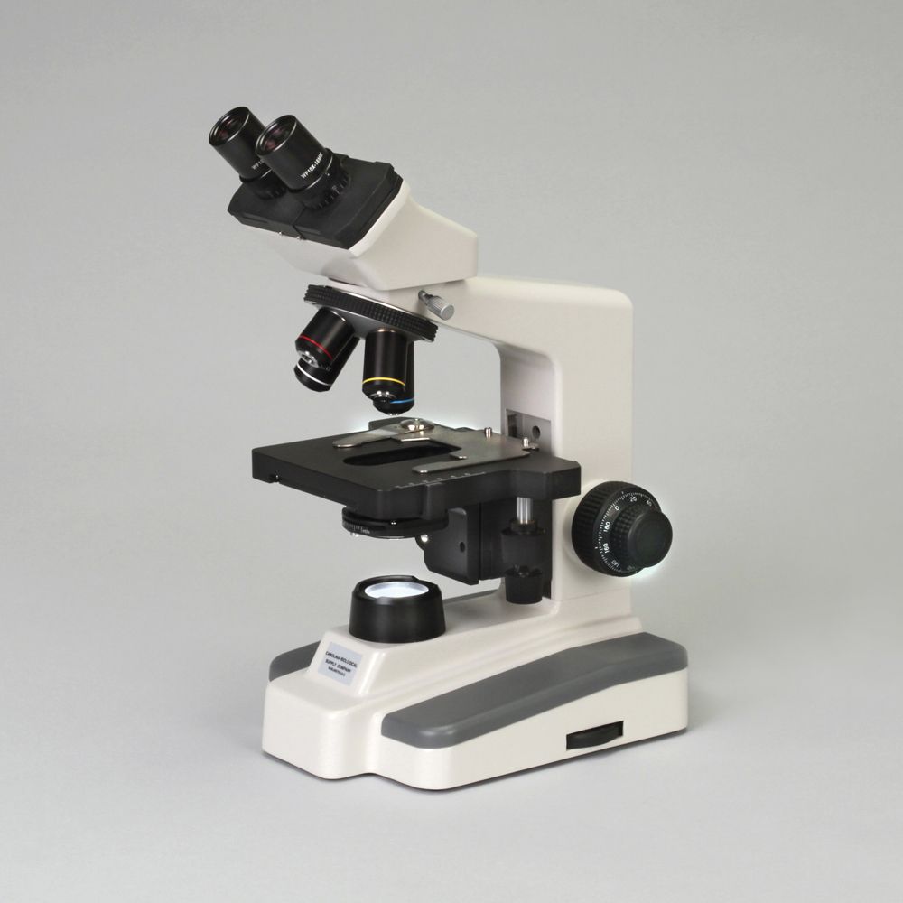 wolfe beta elite binocular microscope carolina com binocular microscope