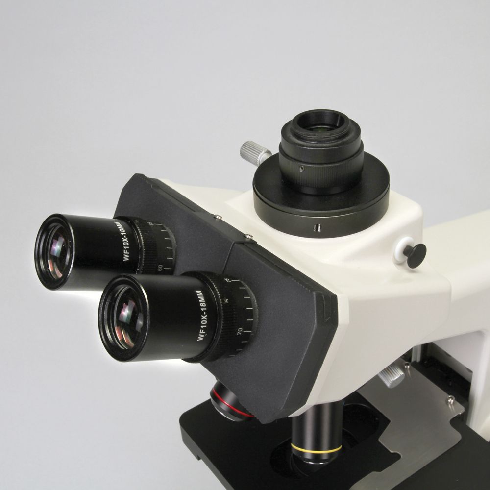 Wolfe® Beta Elite Trinocular Microscope Carolina Biological Supply