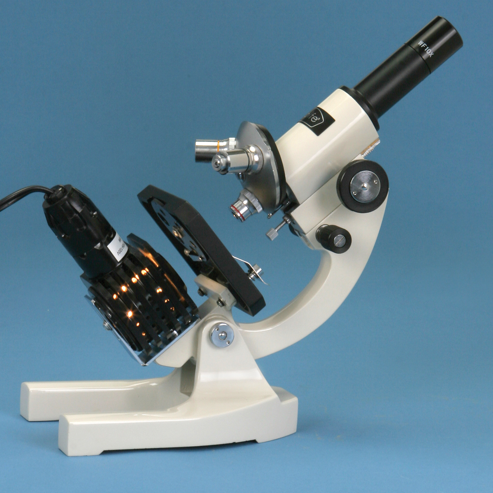 Wolfe® Introductory Student Microscope, Vertical Head
