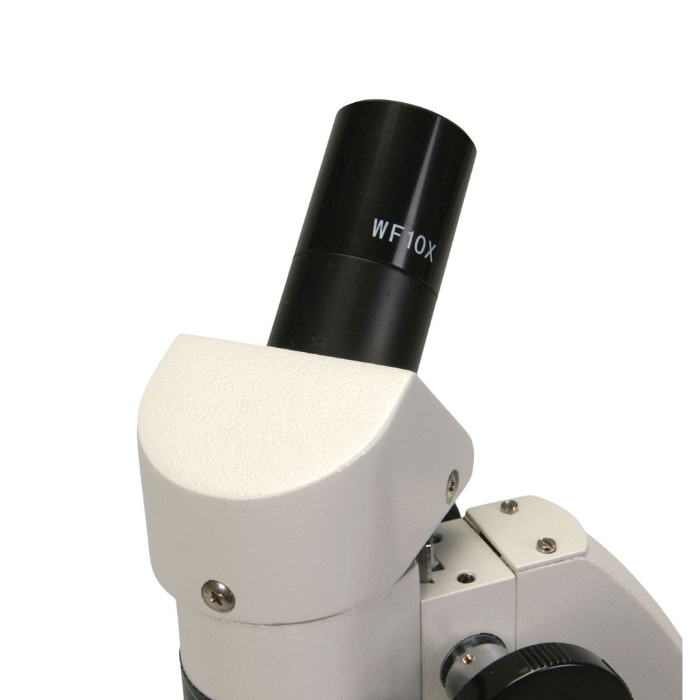Wolfe® Introductory Student Microscope, 45° Inclined Head