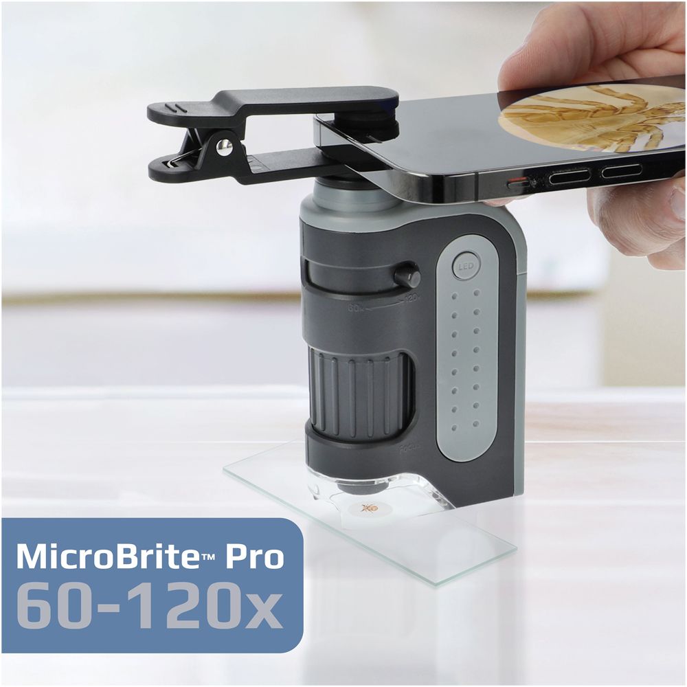 Carson® MicroBrite® Pro 60–120x LED Pocket Microscope with Phone Clip