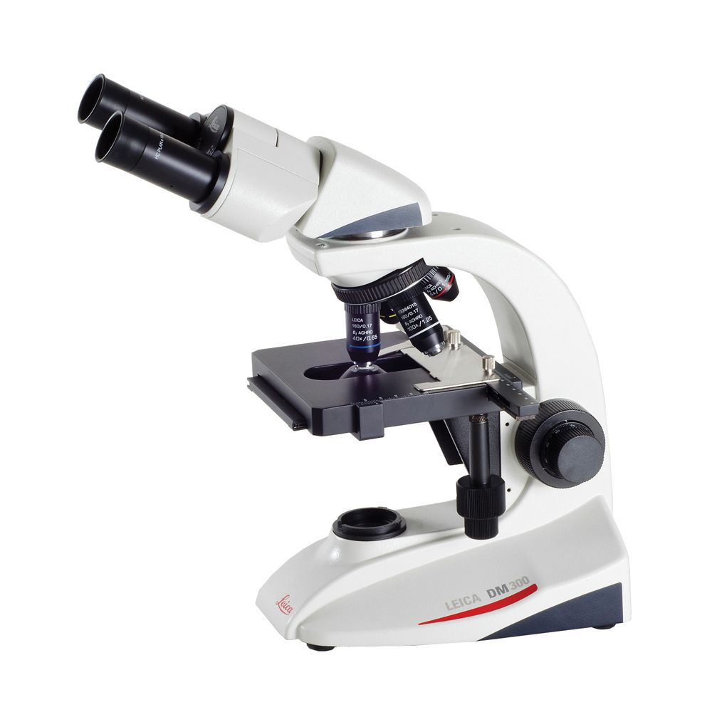 Leica DM300 Binocular Microscope, Mechanical Stage, E1 Condenser, with