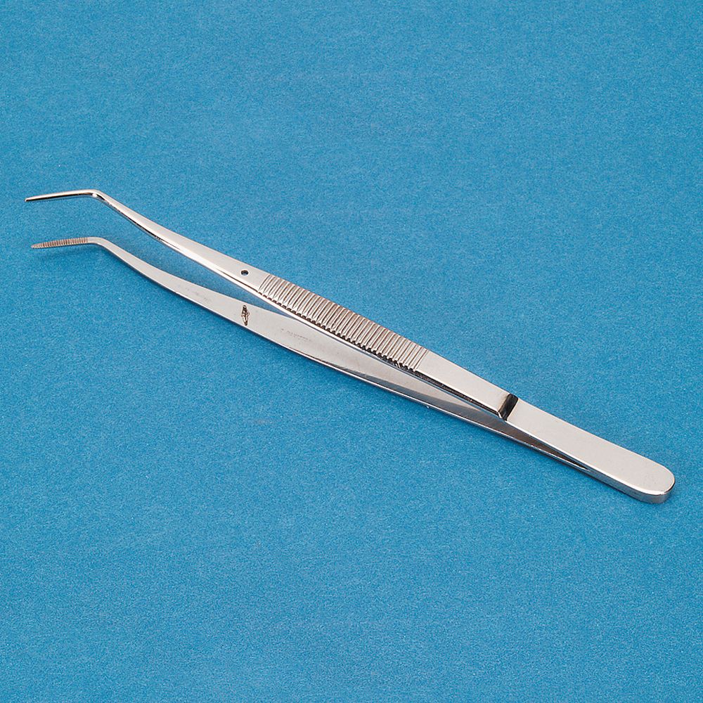 Utility Forceps, Stainless Steel, Curved, 6 in Carolina Biological Supply