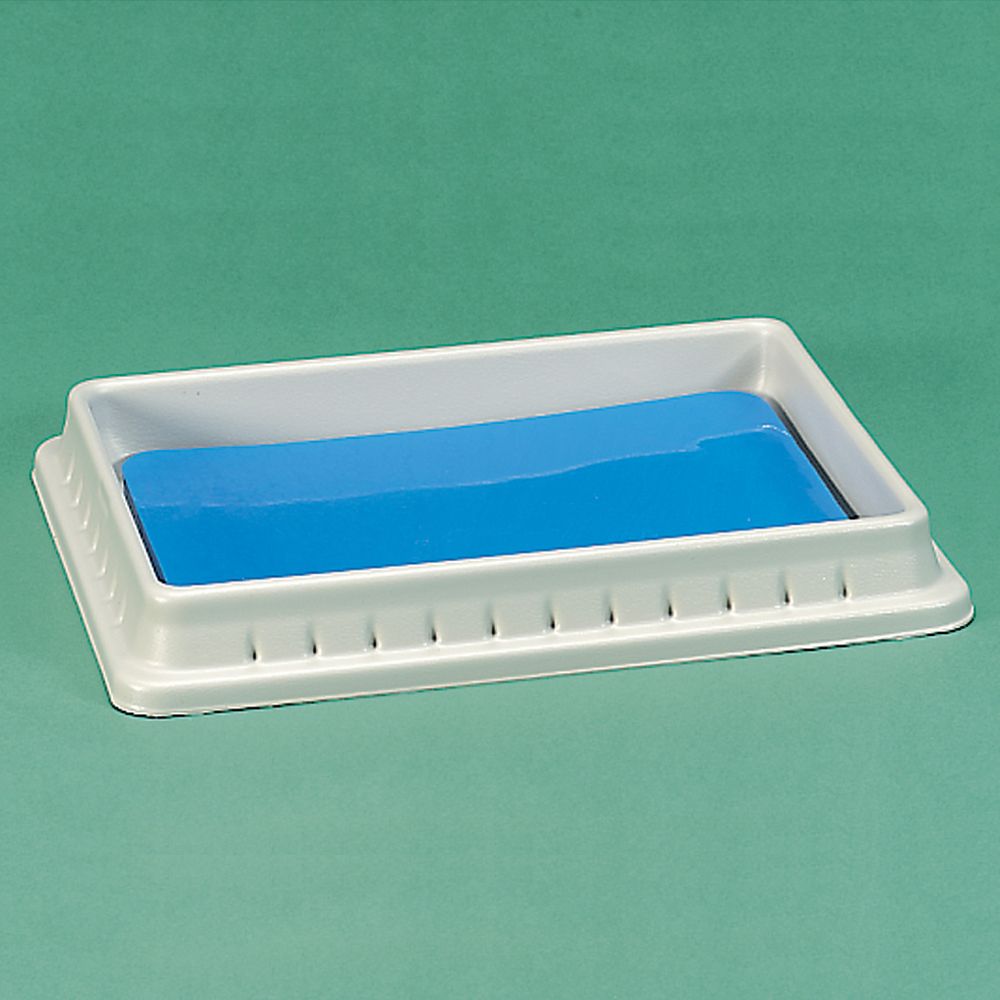 Dissecting Pan, Polyethylene with Vinyl Pad, Standard 11 1/4 x 7 1/2 x