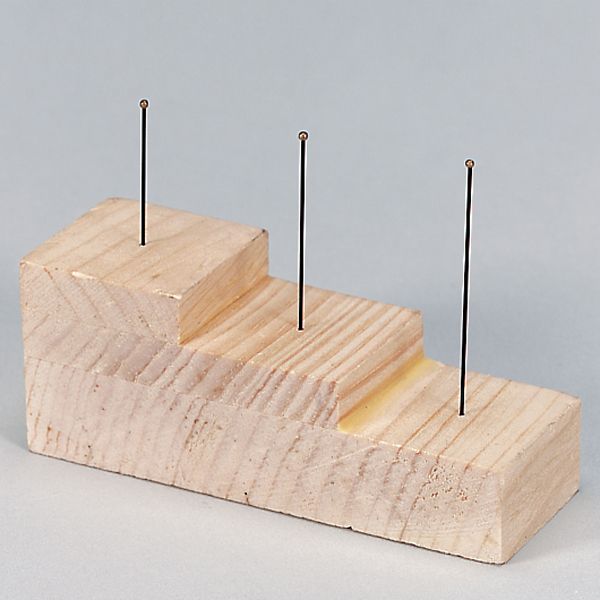 Insect Pinning Block