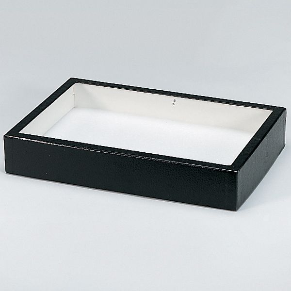 Insect Display Case Box Collection Box With Clear Top, EVA Foam Pinning