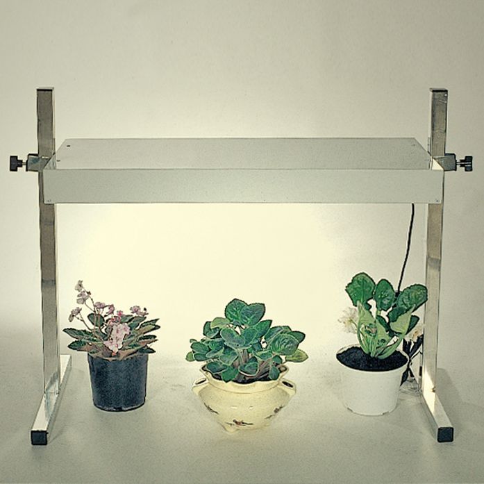 Fluorescent Plant Stands