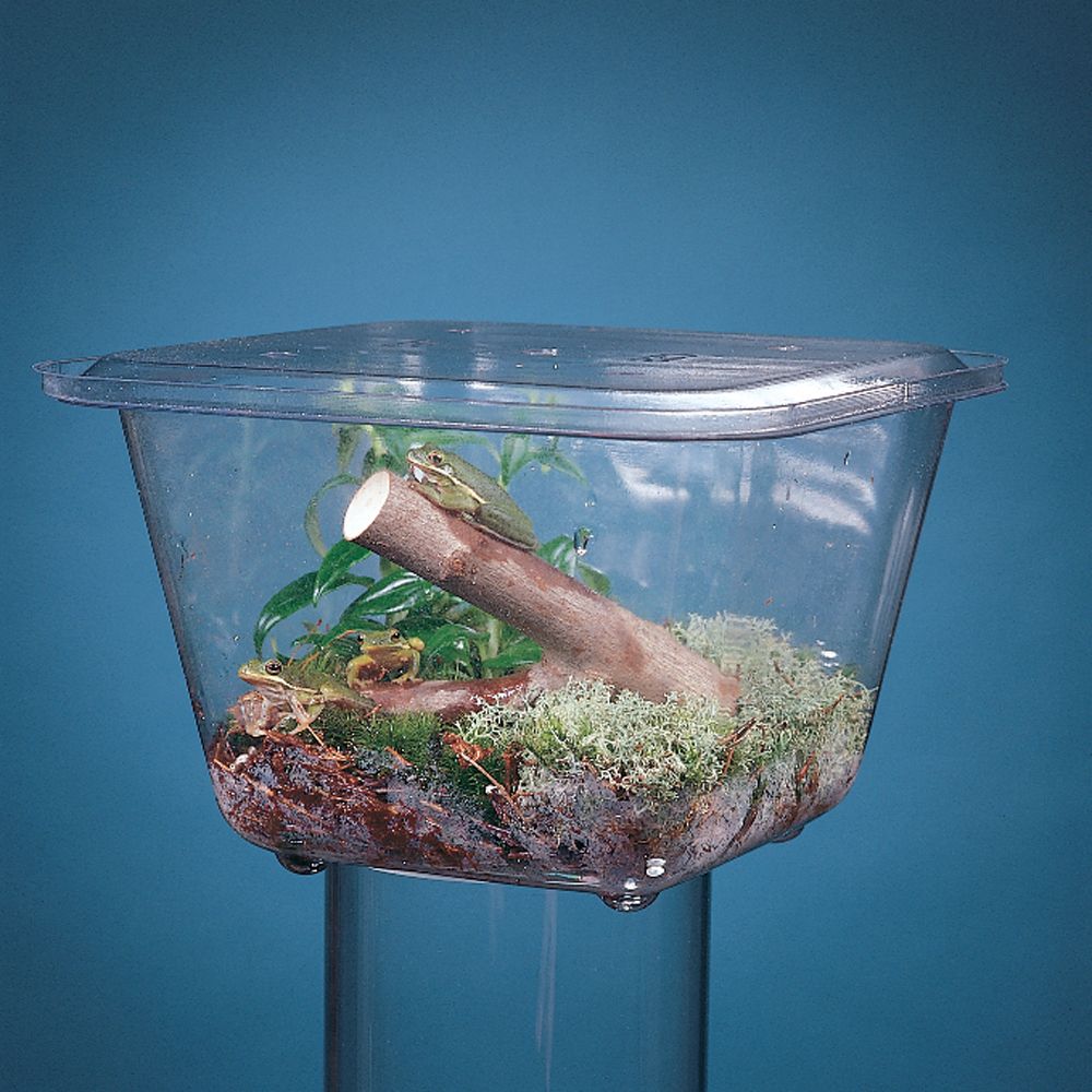 Aquarium/Terrarium, Plastic, 1 gal