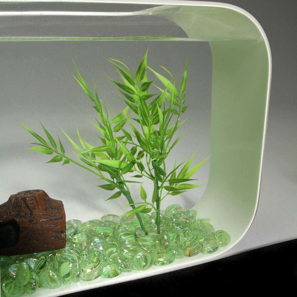 Betta Plant Bamboo