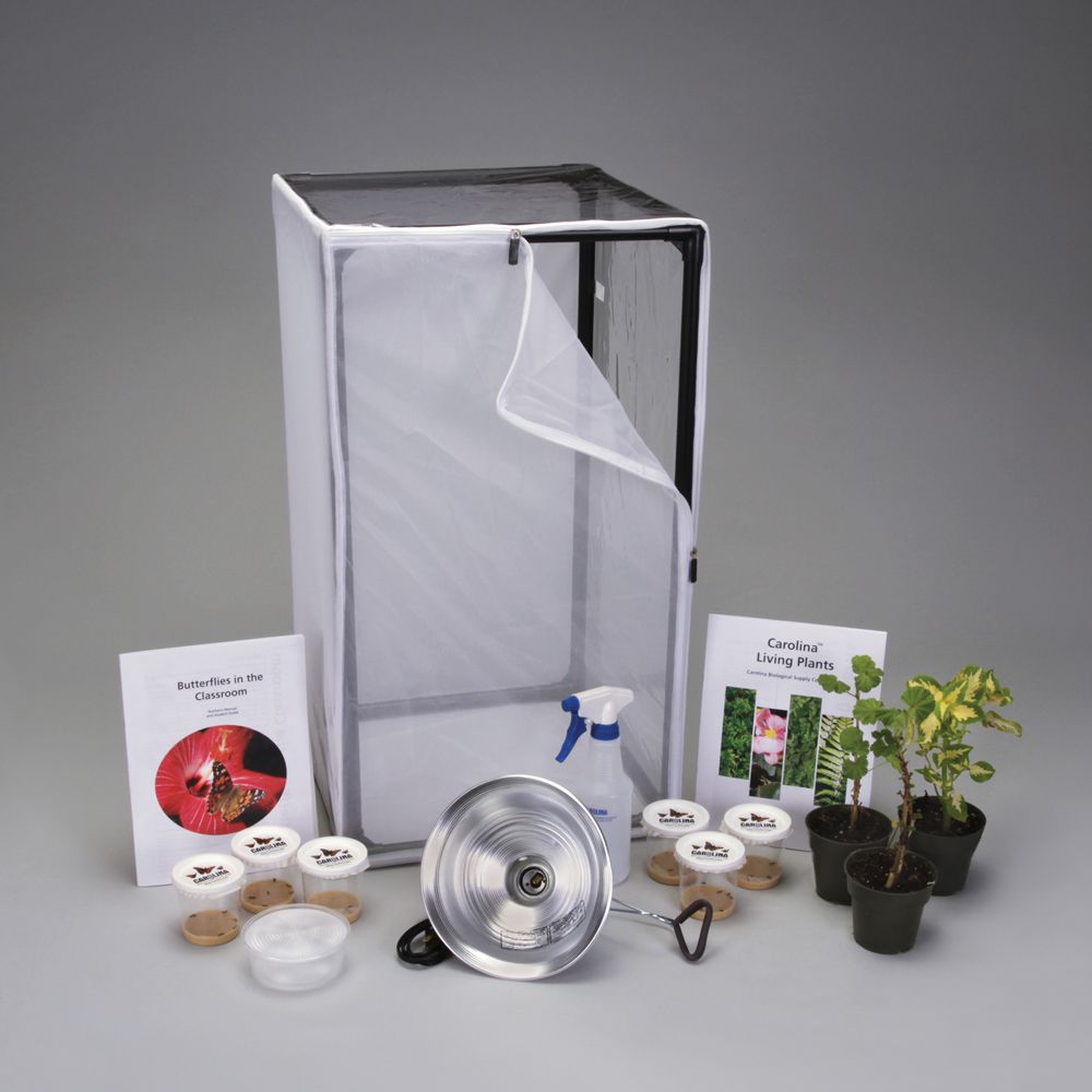 Monarch Butterfly Habitat Kit