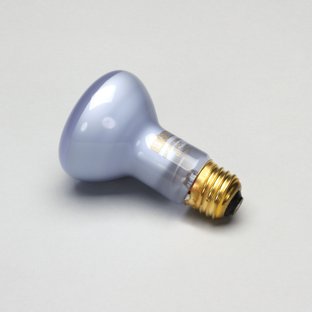 Incandescent White Daylight Bulb, 75 Watt