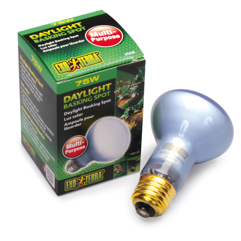 Incandescent White Daylight Bulb, 75 Watt