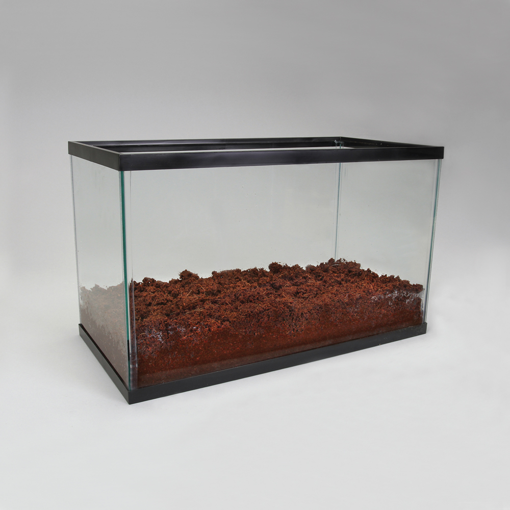 Eco Earth® Terrarium Substrate, 1 Brick Carolina Biological Supply