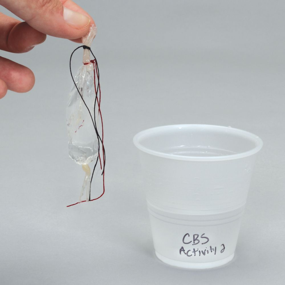 Carolina BioKits® DiffusionOsmosis Carolina Biological Supply