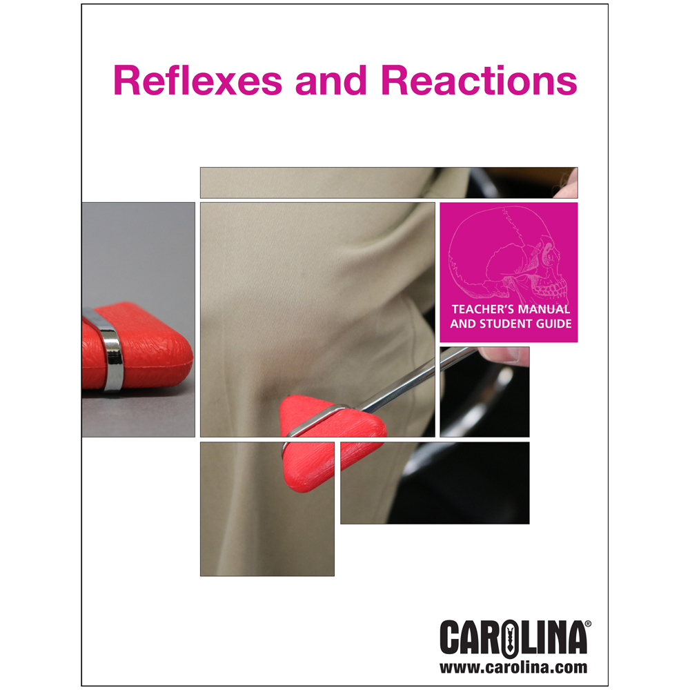Reflexes and Reaction Digital Resources