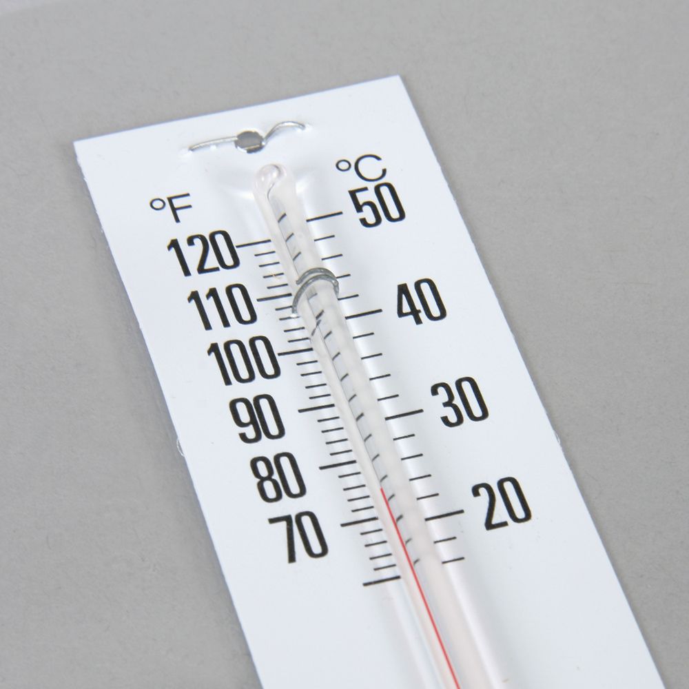 Incubator Thermometer Carolina Biological Supply