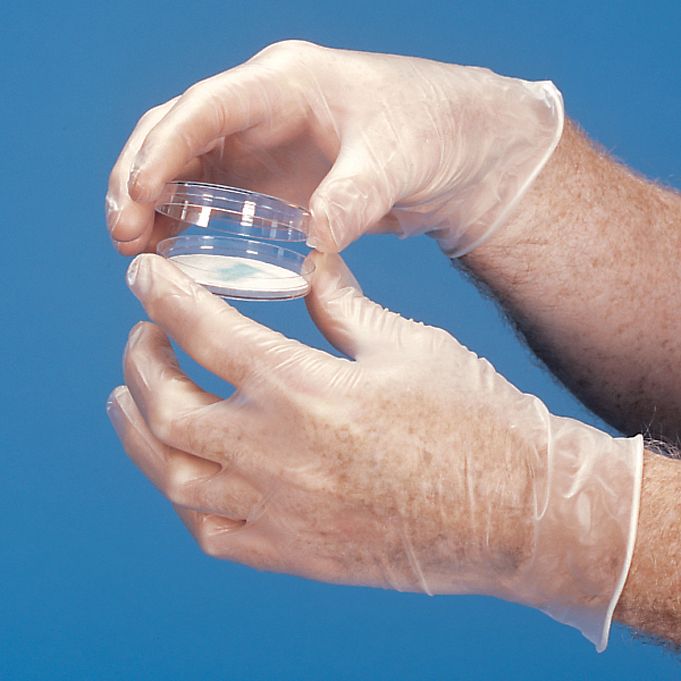 Disposable Vinyl Gloves