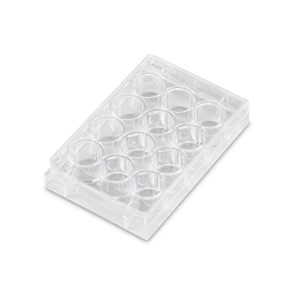 12Well Cell Culture Plate Carolina Biological Supply