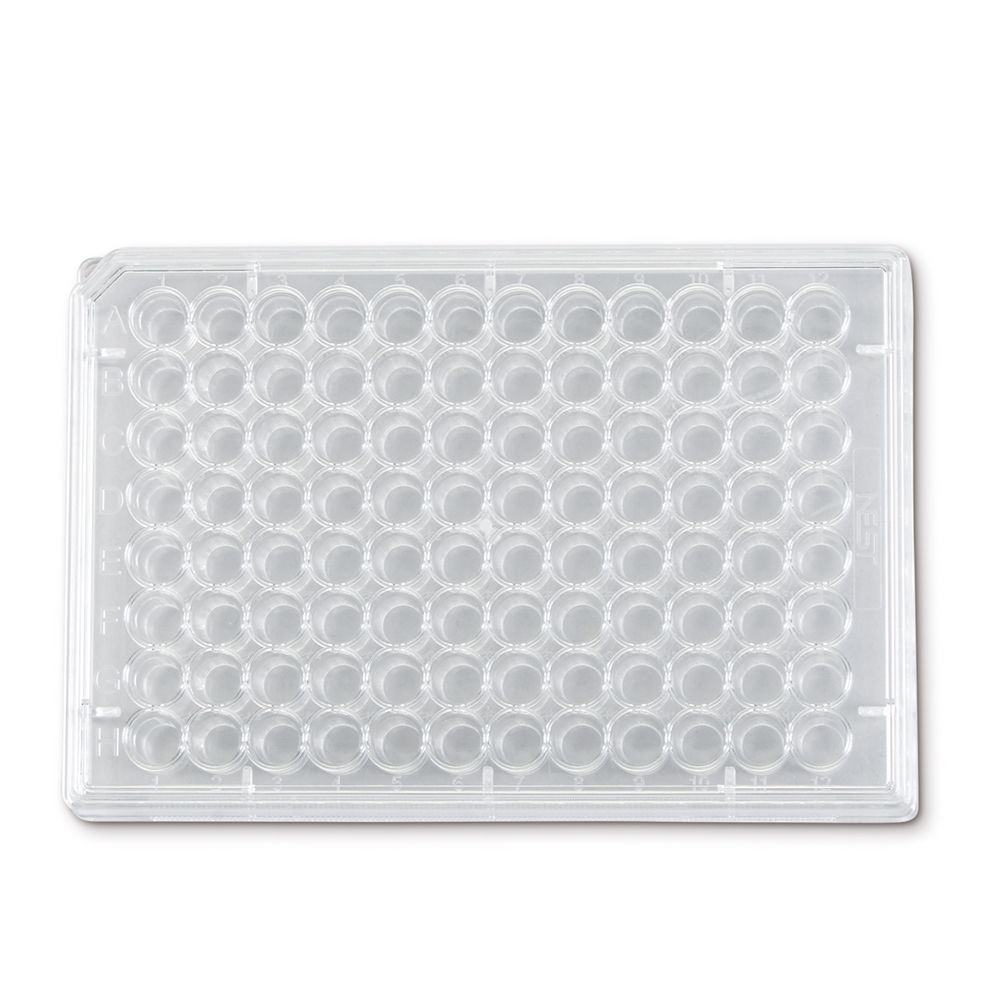 96Well Cell Culture Plate Carolina Biological Supply