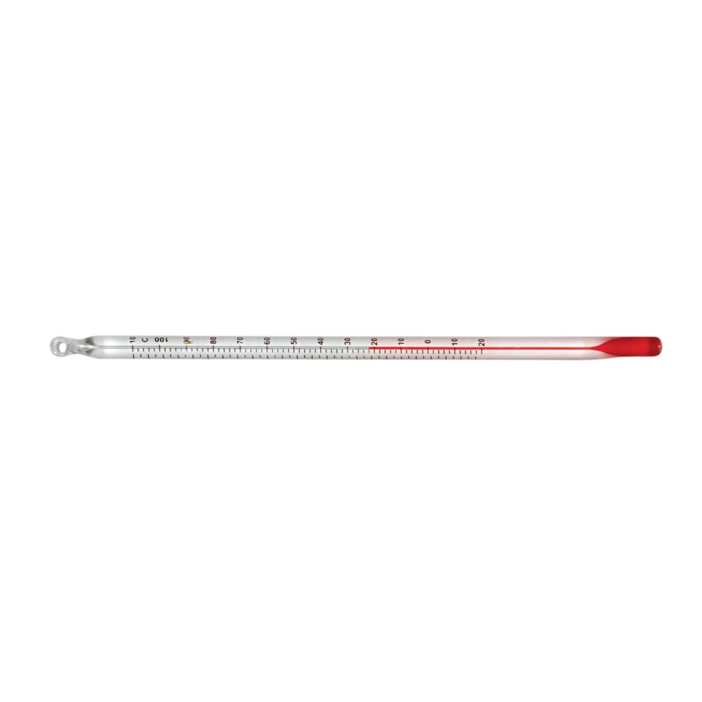 Eisco Labs Red/Blue Thermometer For Science Class -12°C To 110°C Range, 12 Inches Long