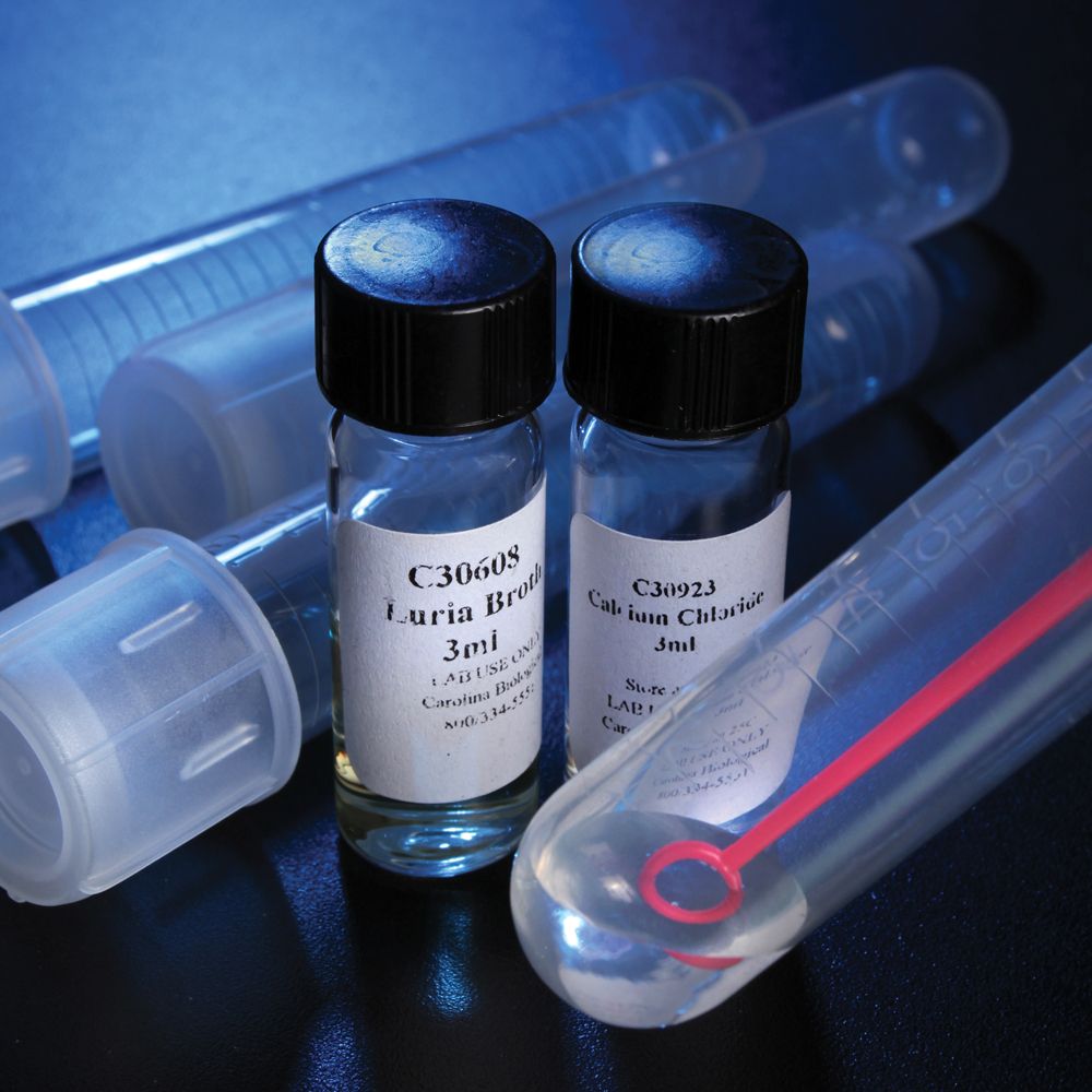 Carolina Investigations® for AP® Biology Transformation 1Station Kit