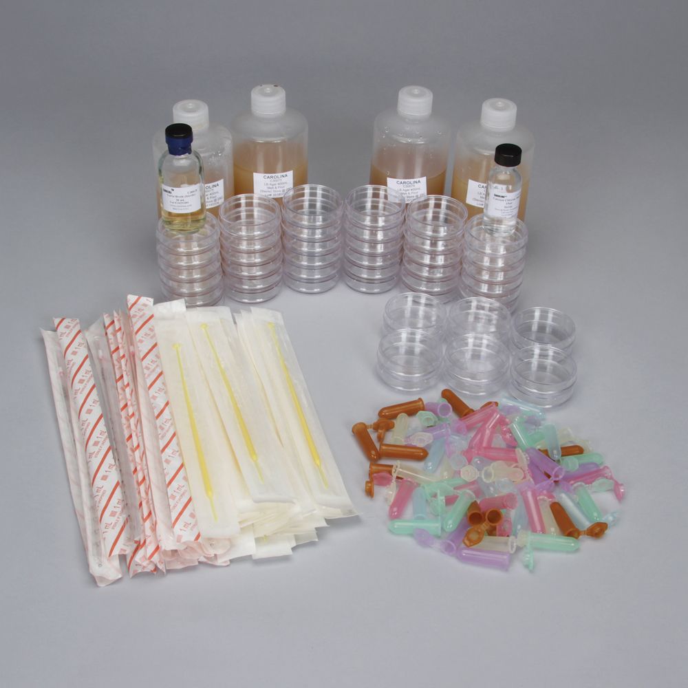 Biotechnology Bacterial Transformation Materials Kits for AP® Example