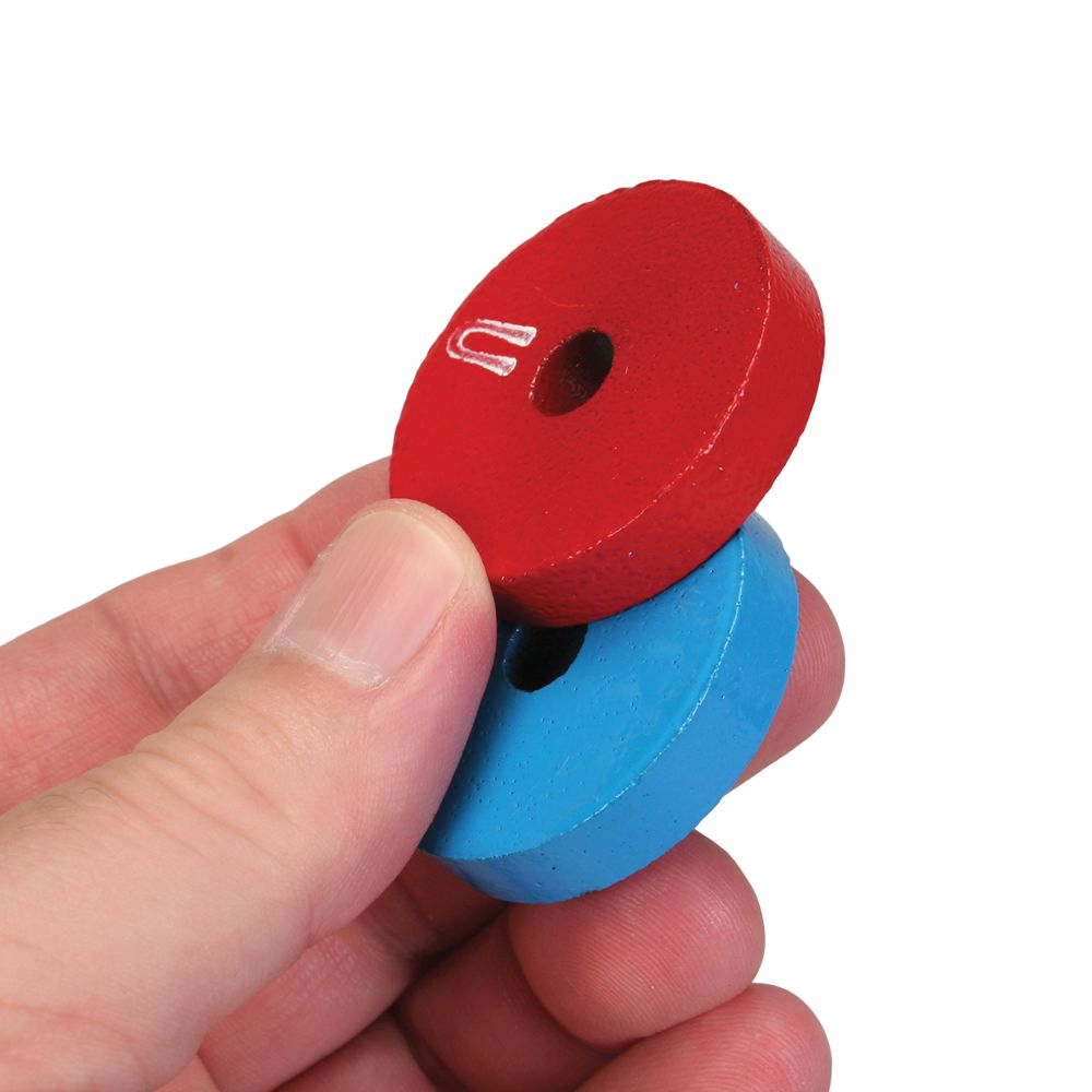 Ceramic Ring Carolina Biological Supply