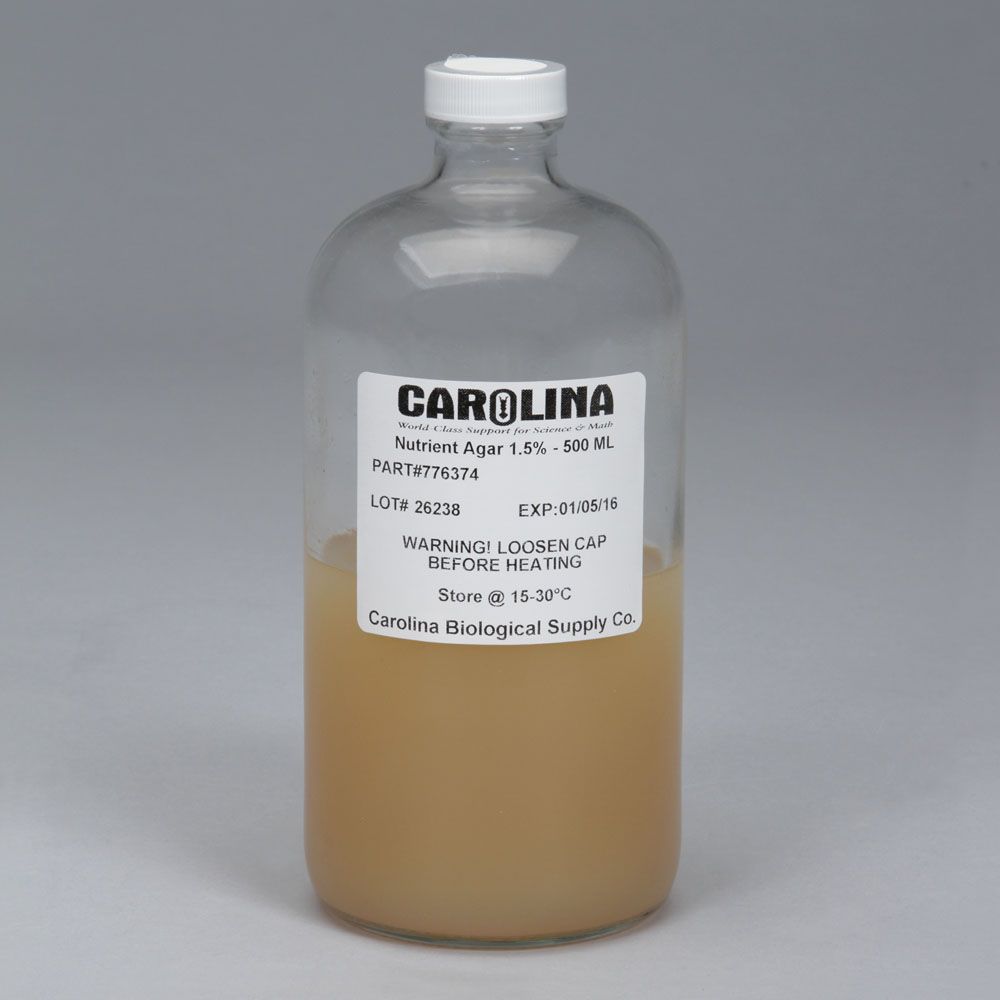 Nutrient Agar, 1.5%, Prepared Media Bottle, 500 mL | Carolina.com