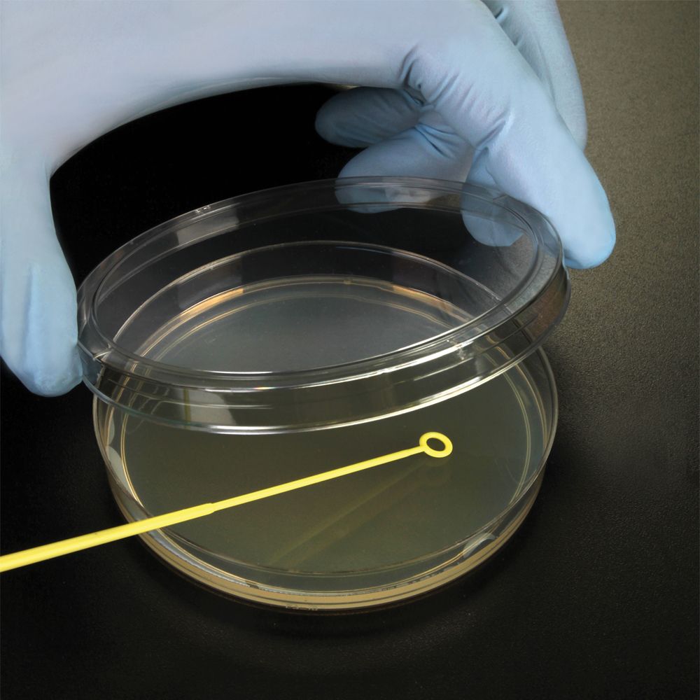 Introduction to Sterile Technique Kit Carolina Biological Supply