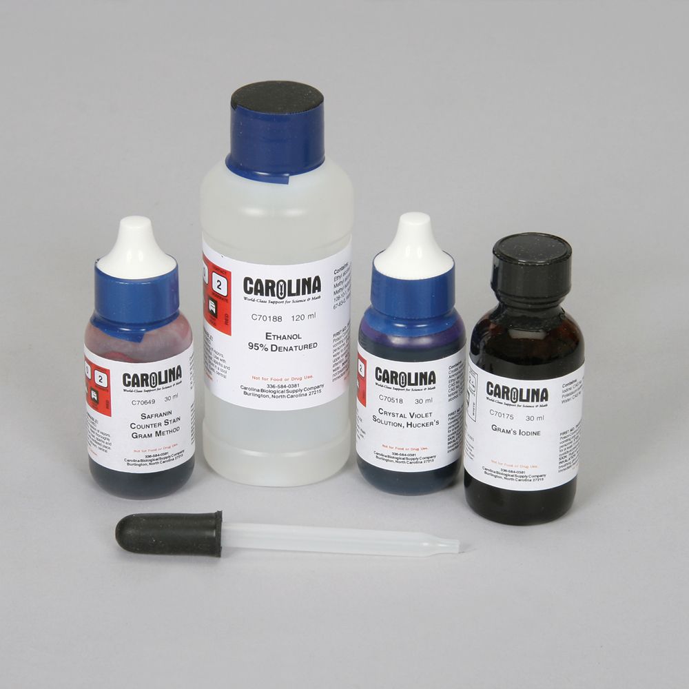 Gram Stain Kit, Small Carolina Biological Supply