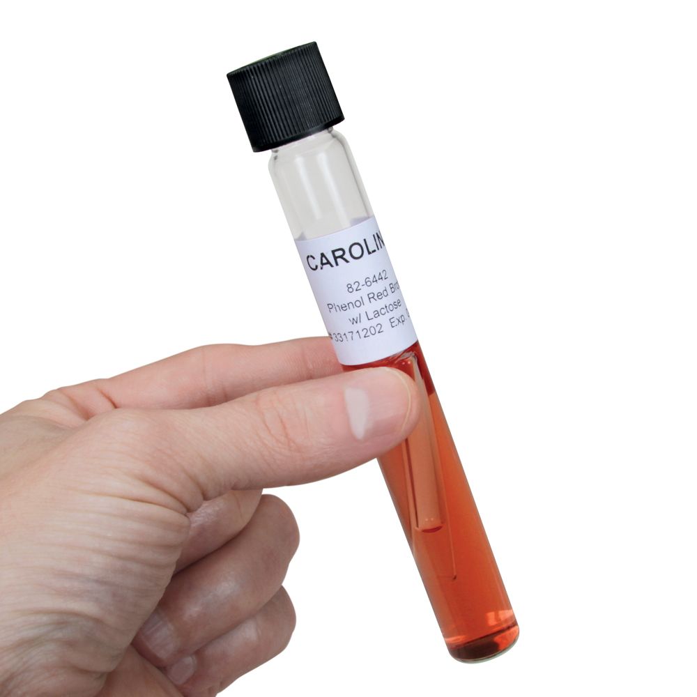 Phenol Red Lactose Broth Test at William Batey blog