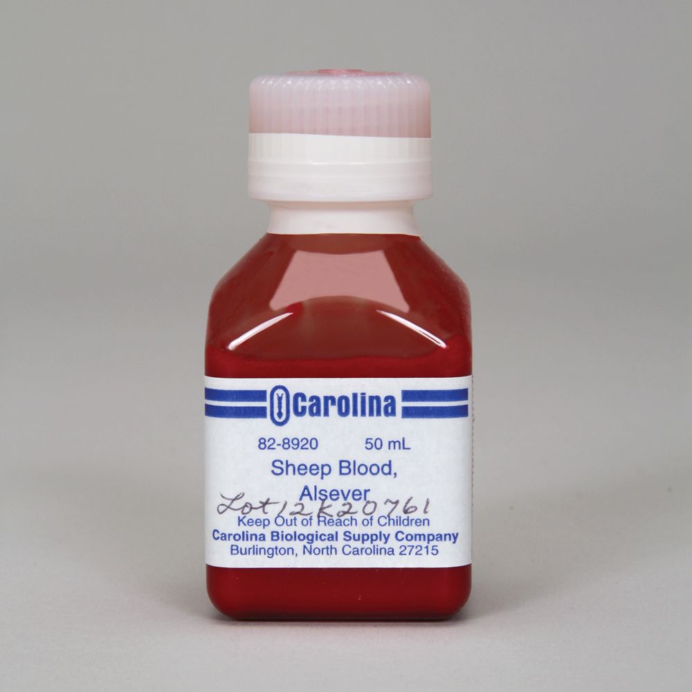 Sheep Blood, Alsever, Pooled, 50 mL Carolina Biological Supply